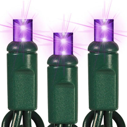 5MM LED Mini Lights on Green Wire - 50ct