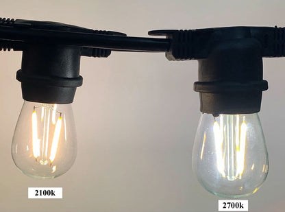 S14 LED Edison Bulbs